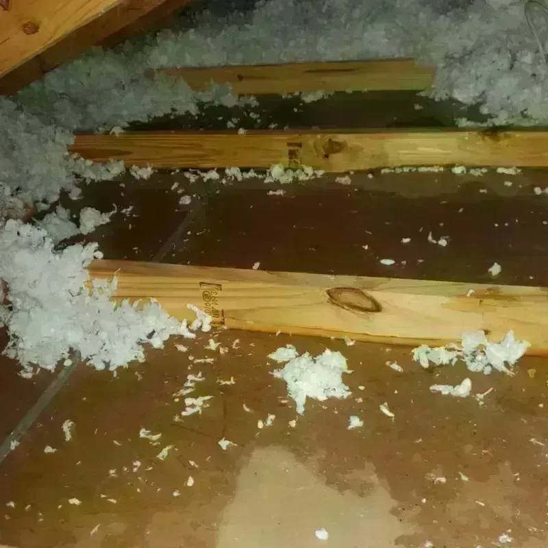 Attic Water Damage in Hampton Manor, NY